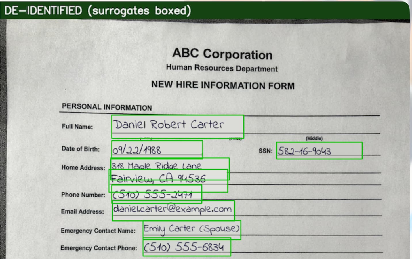 The same form de-identified, with synthetic surrogates in place of the real values