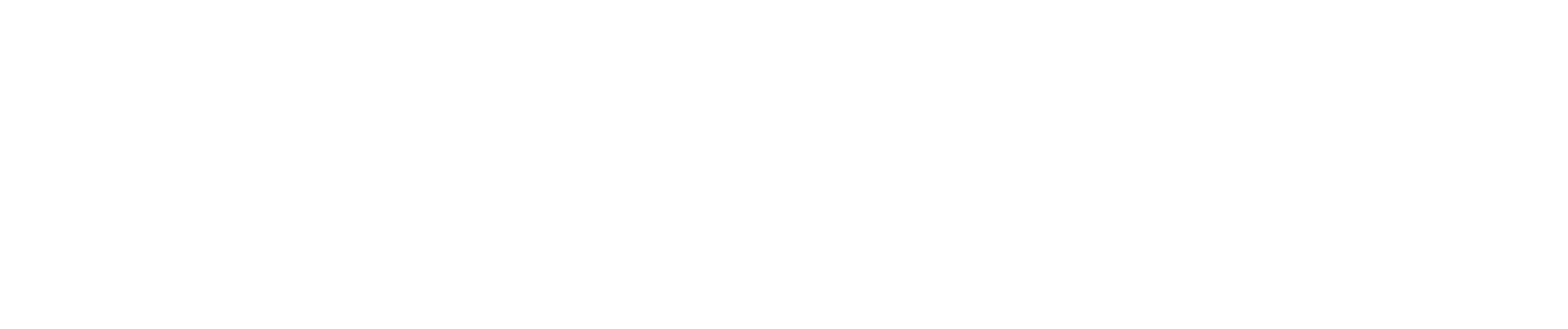 Secludy AI